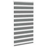 Vidaxl Zebra Roller Blind 70x100 cm Staubbreite 65,9 cm dunkelgrau