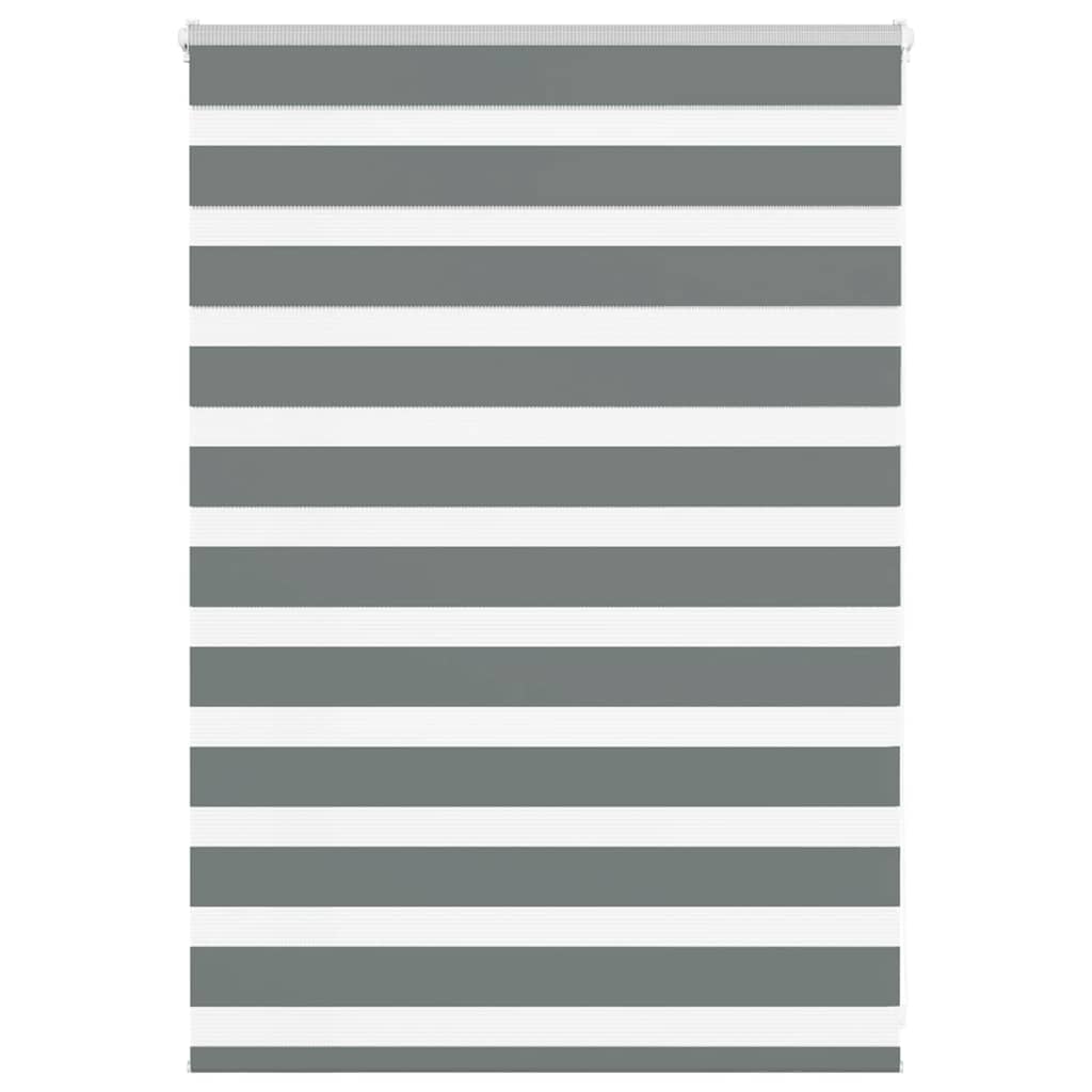 VidaXL Zebra-Rollo 100x100 cm Stoffbreite 95,9 cm Dunkelgrau