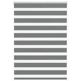 VidaXL Zebra-Rollo 105x100 cm Stoffbreite 100,9 cm Dunkelgrau