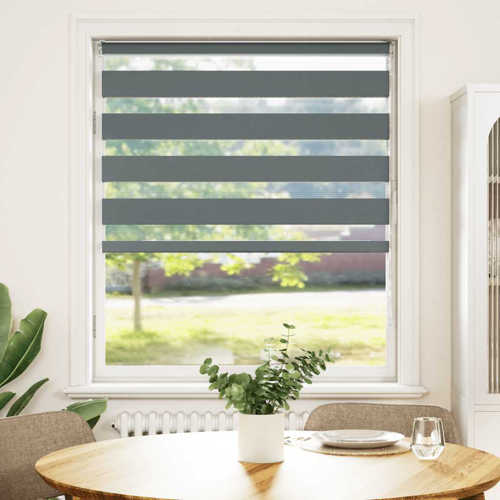 Vidaxl Zebra Roller Blind 110x100 cm Stoffbreite 105,9 cm dunkelgrau