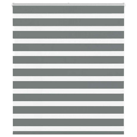 VidaXL Zebra-Rollo 120x100 cm Stoffbreite 115,9 cm Dunkelgrau