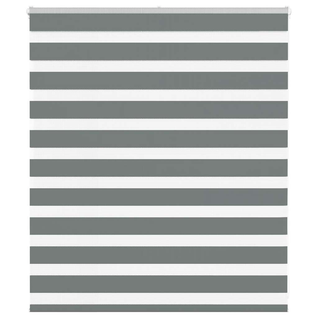 VidaXL Zebra-Rollo 125x100 cm Stoffbreite 120,9 cm Dunkelgrau