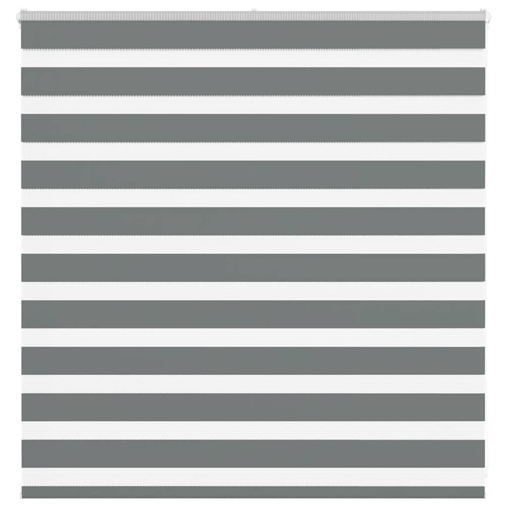 Vidaxl Zebra Rouleau aveugle 140x100 cm Largeur de poussière 135,9 cm Gris foncé