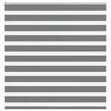 Vidaxl Zebra Rouleau aveugle 145x100 cm Largeur de poussière 140,9 cm gris foncé