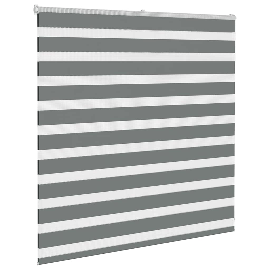 Vidaxl Zebra Roller Blind 145x100 cm Staubbreite 140,9 cm dunkelgrau