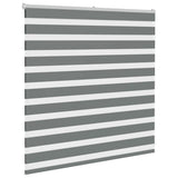 Vidaxl Zebra Roller Blind 145x100 cm ancho de polvo 140.9 cm de color gris oscuro