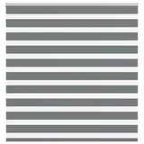 Vidaxl Zebra Rouleau aveugle 150x100 cm Largeur de poussière 145,9 cm Gris foncé