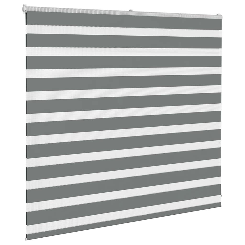 Vidaxl Zebra Rouleau aveugle 160x100 cm Largeur de tissu 155,9 cm Gris foncé