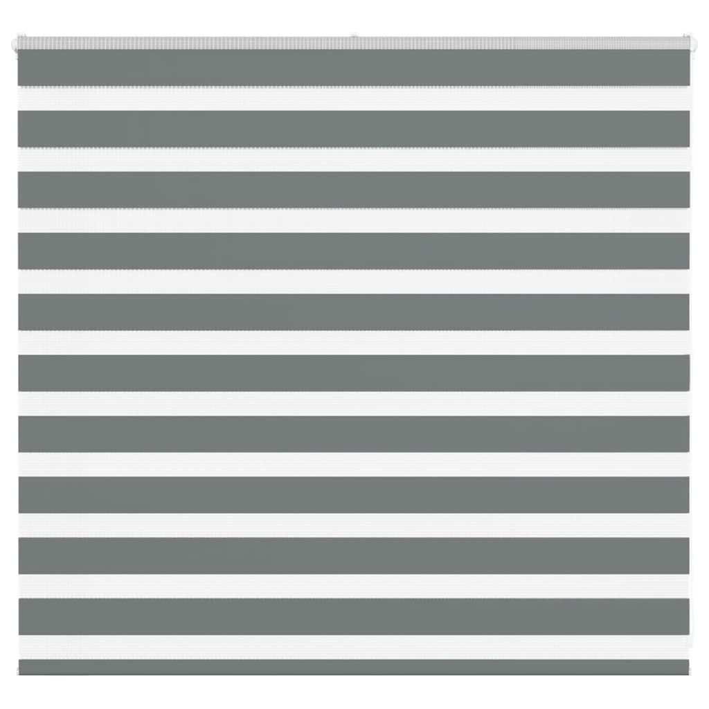 VidaXL Zebra-Rollo 165x100 cm Stoffbreite 160,9 cm Dunkelgrau