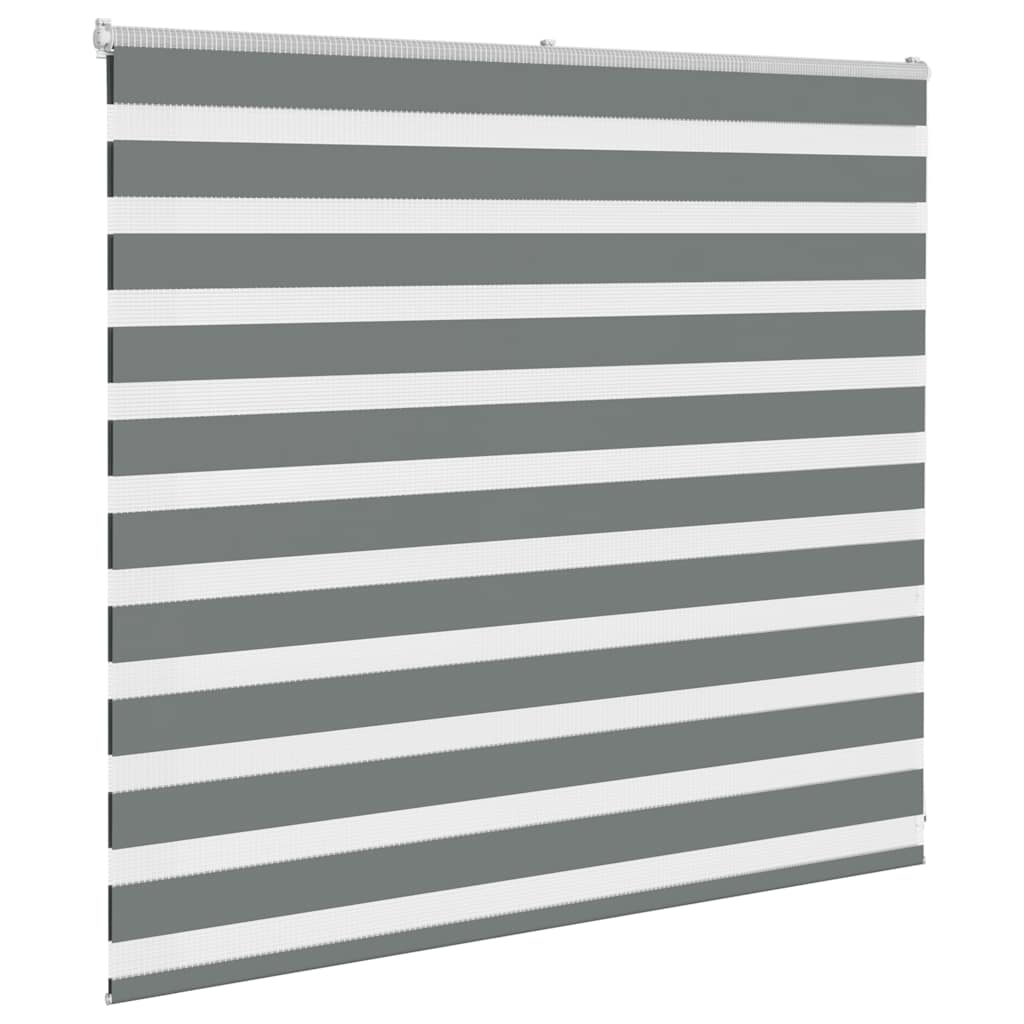 Vidaxl Zebra Roller Blind 165x100 CM Fabric Ancho 160.9 cm de color gris oscuro