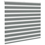 VidaXL Zebra-Rollo 165x100 cm Stoffbreite 160,9 cm Dunkelgrau