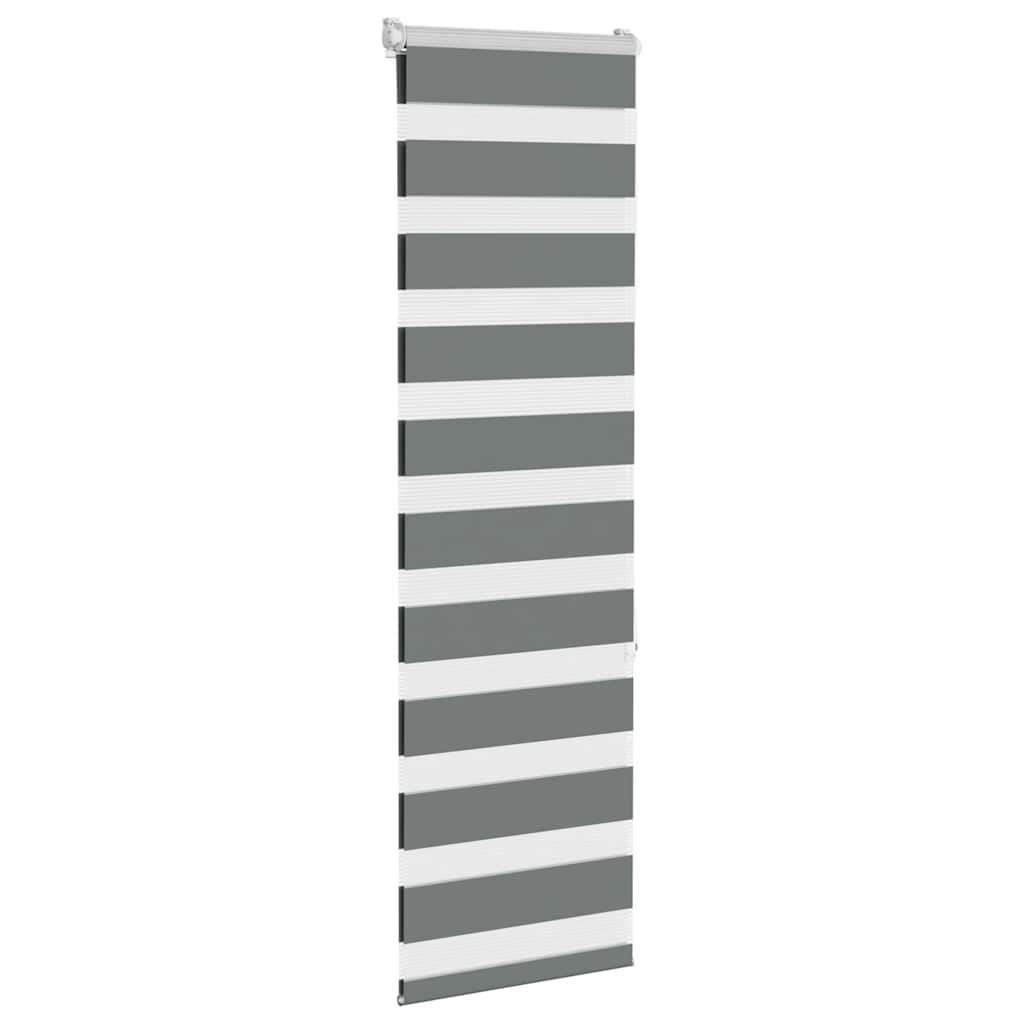 Vidaxl Zebra roller blind 40x150 cm dust width 35.9 cm dark gray