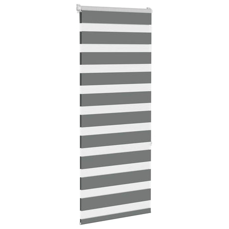 VidaXL Zebra-Rollo 55x150 cm Stoffbreite 50,9 cm Dunkelgrau
