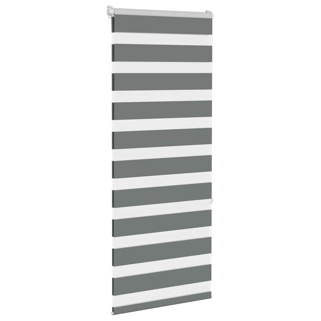VidaXL Zebra-Rollo 60x150 cm Stoffbreite Dunkelgrau 55,9 cm