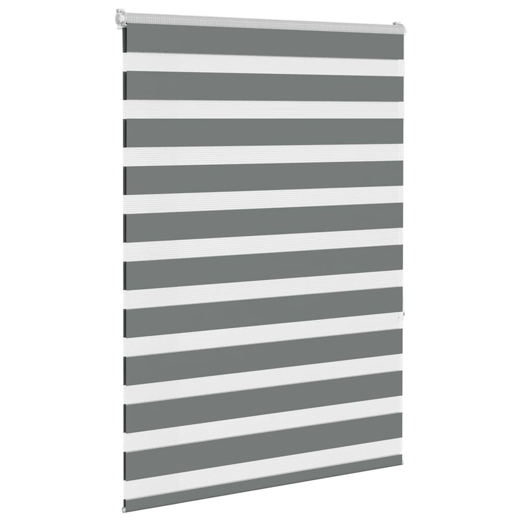 VidaXL Zebra-Rollo 100x150 cm Stoffbreite 95,9 cm Dunkelgrau
