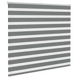 VidaXL Zebra-Rollo 160x150 cm Stoffbreite 155,9 cm Dunkelgrau
