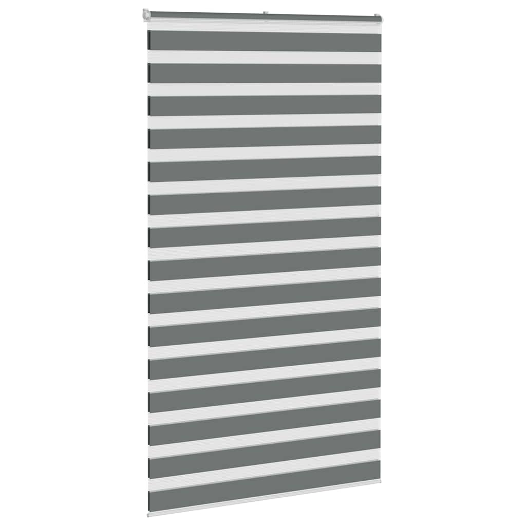 Vidaxl zebra rullo cieco 125x200 cm Larghezza tessuto 120,9 cm grigio scuro