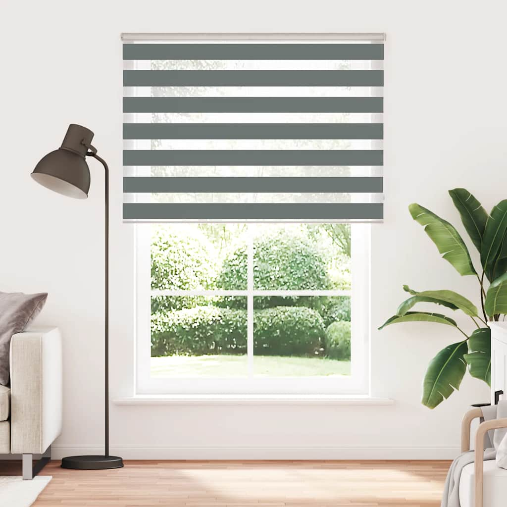 Vidaxl Zebra Roller Blind 155x200 cm Stoffbreite 150,9 cm dunkelgrau