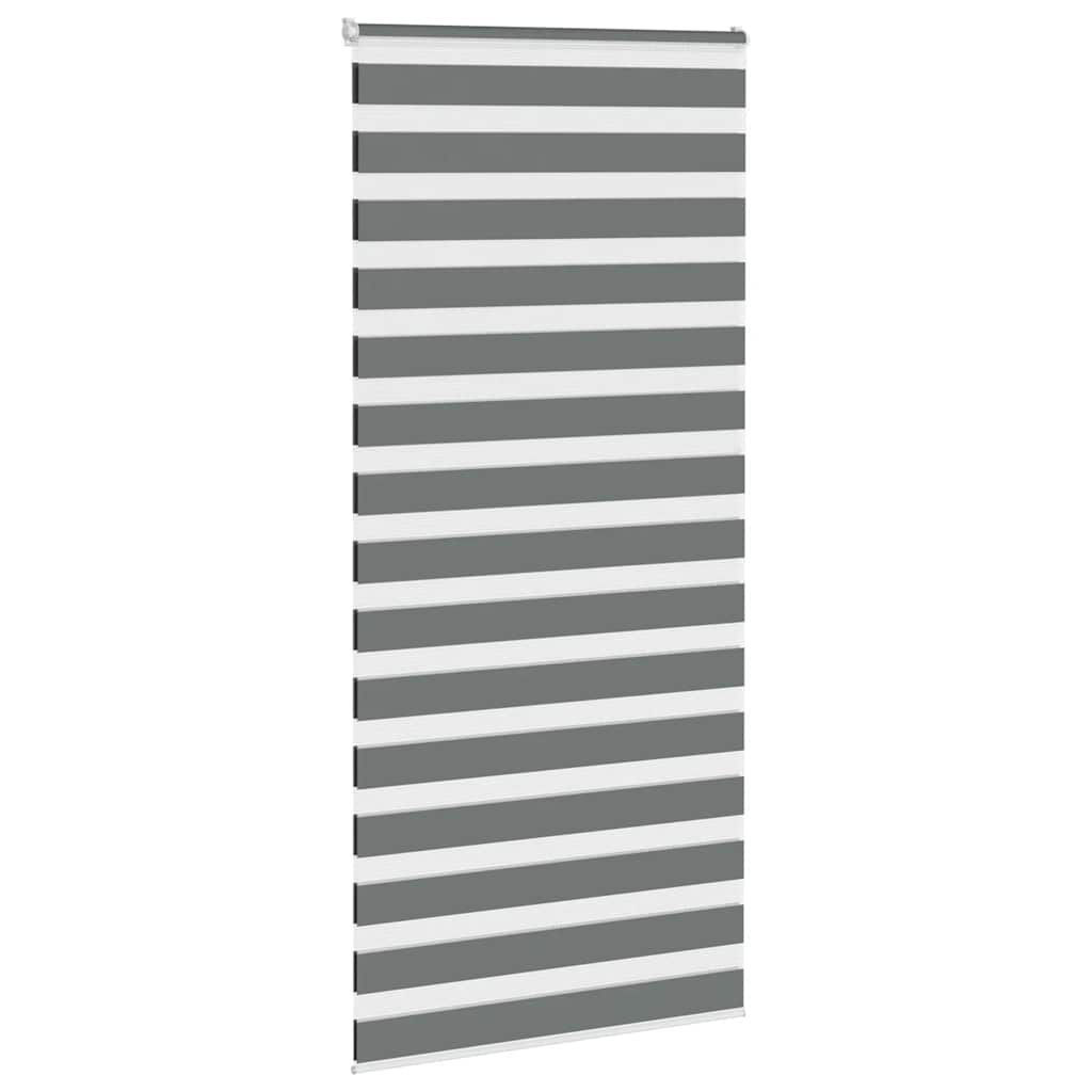 Vidaxl zebra rullo cieco 110x230 cm Larghezza tessuto 105,9 cm grigio scuro