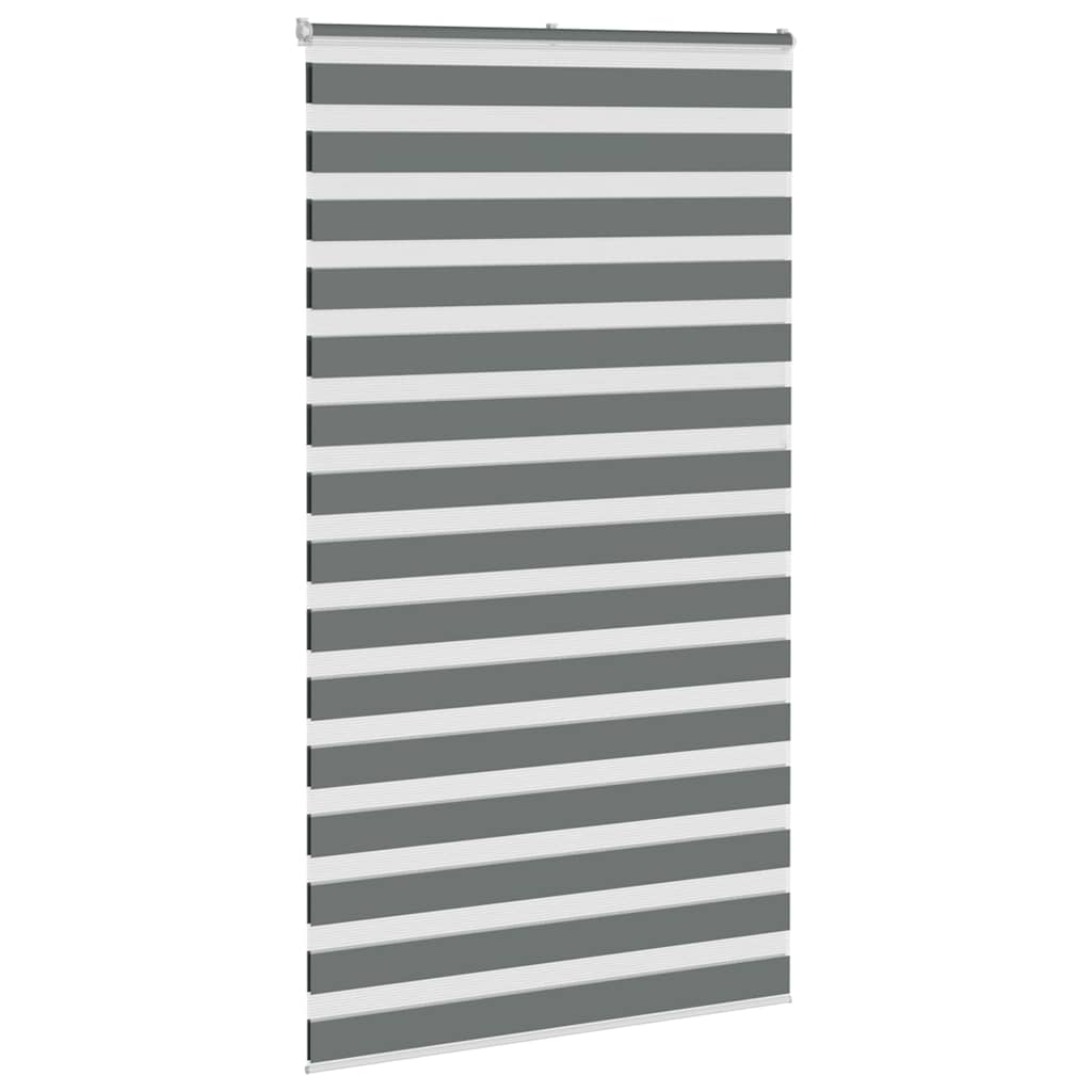 Vidaxl Zebra Roller Slepi 120x230 cm Širina tkanine 115,9 cm temno siva