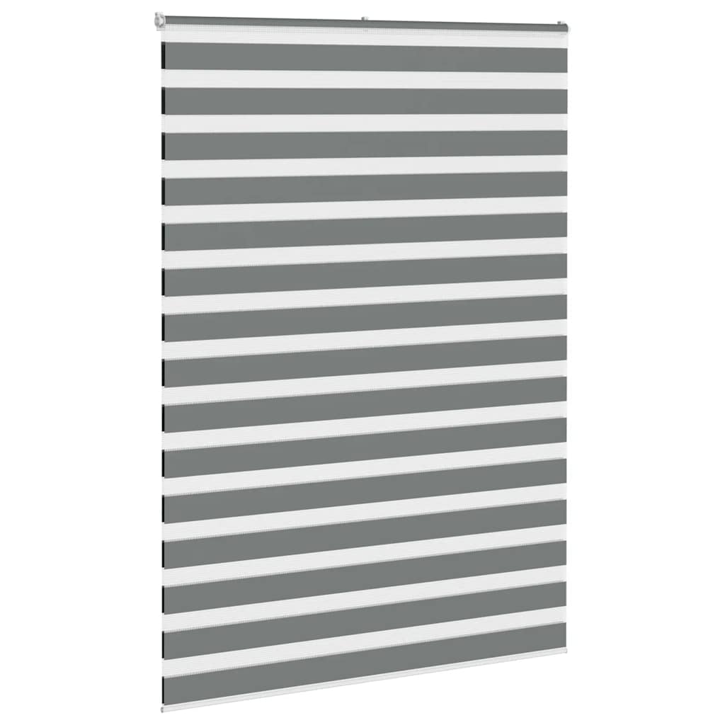 Vidaxl Zebra Roller Blind 165x230 cm Stof bredde 160,9 cm mørkegrå