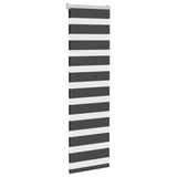 Vidaxl Zebra Roller Blind 45x100 cm Larghezza polvere 40,9 cm Nero