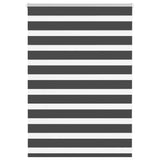VidaXL Zebra-Rollo 100x100 cm Stoffbreite 95,9 cm Schwarz