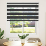 Vidaxl zebra rullo cieco 125x100 cm Larghezza tessuto 120,9 cm nero