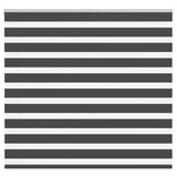 Vidaxx Zebra-Rollo 160x100 cm Stoffbreite 155,9 cm Schwarz