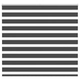 Vidaxx Zebra-Rollo 165x100 cm Stoffbreite 160,9 cm schwarz