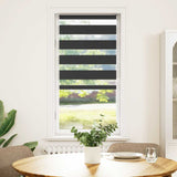 Vidaxl Zebra Roller Blind 55x150 cm de polvo ancho de 50,9 cm negro