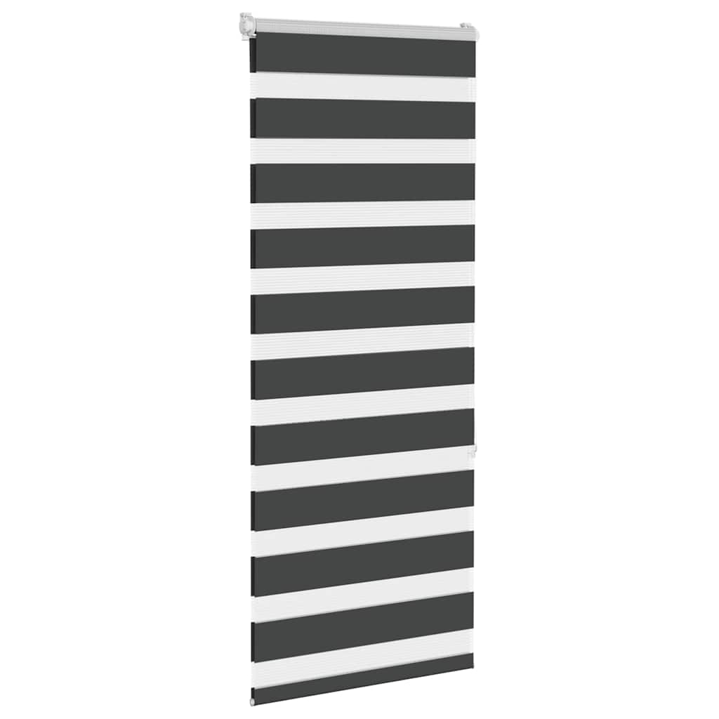 Vidaxl Zebra Roller Blind 55x150 cm de polvo ancho de 50,9 cm negro