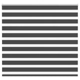 VidaXL Zebra-Rollo 155x150 cm Stoffbreite 150,9 cm Schwarz