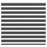VidaXL Zebra-Rollo 160x150 cm Stoffbreite 155,9 cm Schwarz