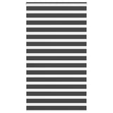 VidaXL Zebra-Rollo 120x200 cm Stoffbreite 115,9 cm Schwarz