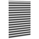 Vidaxl Zebra Roller Blind 160x230 cm Stof bredde 155,9 cm sort