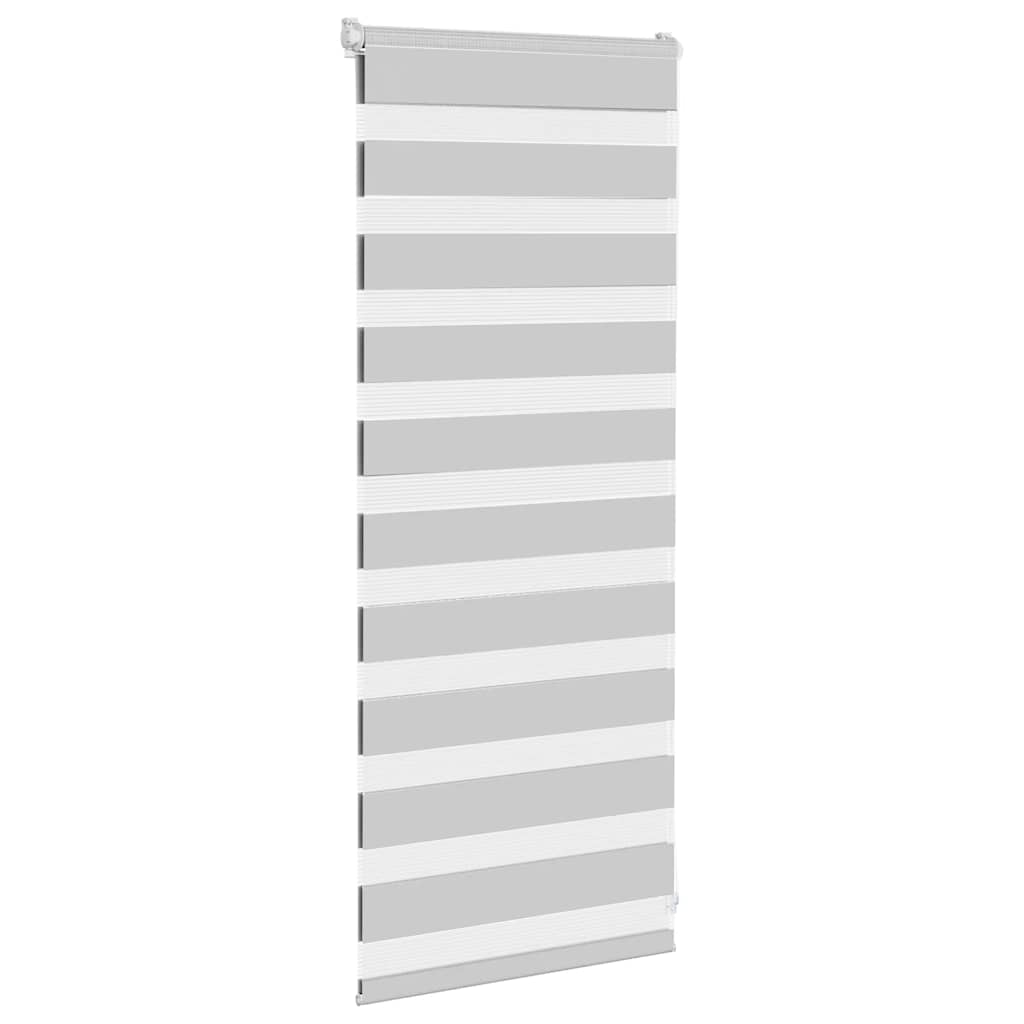 Vidaxl Zebra Roller Blind 55x100 cm Tygbredd 50,9 cm ljusgrå