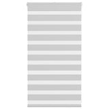 Vidaxl Zebra Rouleau aveugle 90x100 cm Largeur de tissu 85,9 cm Gris clair