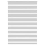 VidaXL Zebra-Rollo 100x100 cm Stoffbreite 95,9 cm Hellgrau