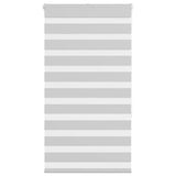 VidaXL Zebra-Rollo 70x150 cm Stoffbreite 65,9 cm Hellgrau