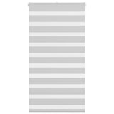 VidaXL Zebra-Rollo 80x150 cm Stoffbreite 75,9 cm Hellgrau