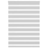 VidaXL Zebra-Rollo 100x150 cm Stoffbreite 95,9 cm Hellgrau