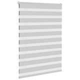 VidaXL Zebra-Rollo 105x150 cm Stoffbreite 100,9 cm Hellgrau