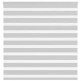 VidaXL Zebra-Rollo 145x150 cm Stoffbreite 140,9 cm Hellgrau