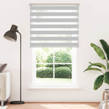 VidaXL Zebra-Rollo 120x200 cm Stoffbreite 115,9 cm Hellgrau