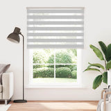 VidaXL Zebra-Rollo 155x230 cm Stoffbreite 150,9 cm Hellgrau