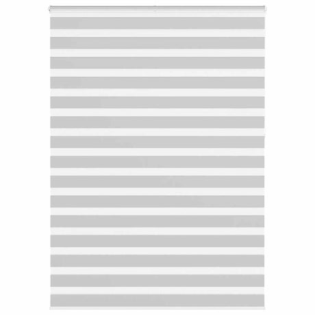 VidaXL Zebra-Rollo 165x230 cm Stoffbreite 160,9 cm Hellgrau