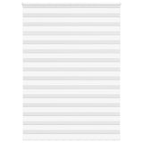 Vidaxl Zebra Rouleau aveugle 155x200 cm Largeur de tissu 150,9 cm Blanc en polyester