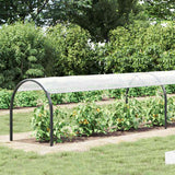 Vidaxx transparente Plane mit Ösen 1x8 m Polyethylen