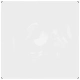 VidaXL transparente Plane mit Ösen 2x2 m PVC